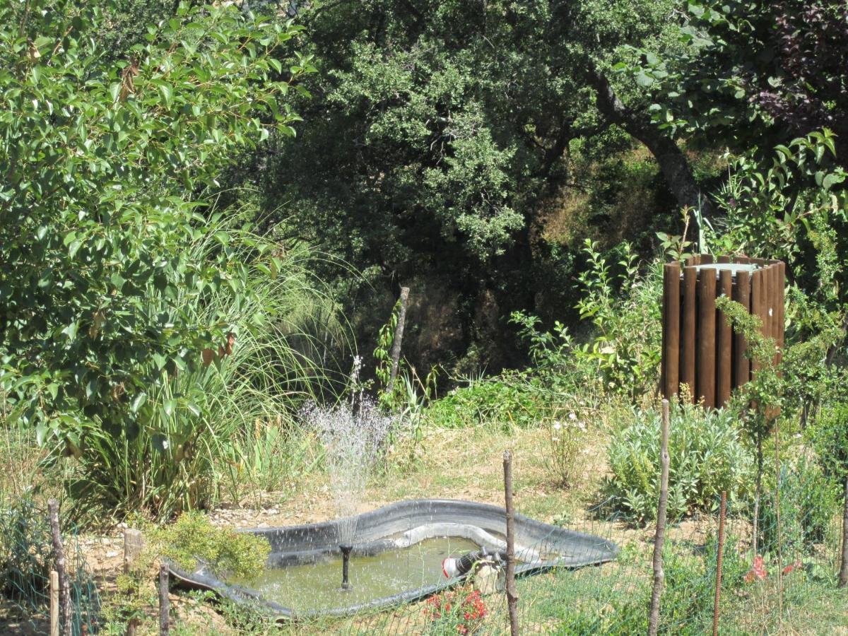 Agriturismo Grotta Dell'Eremita Affittacamere Albano di Lucania Esterno foto